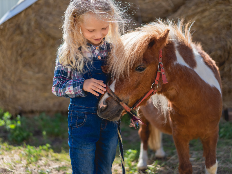 thumbnail Family Farm: la fattoria a misura di famiglia
