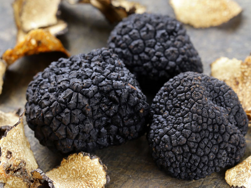 thumbnail Sagra del Tartufo