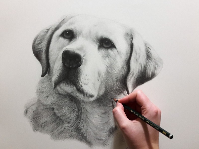 thumbnail Workshop di disegno naturalistico