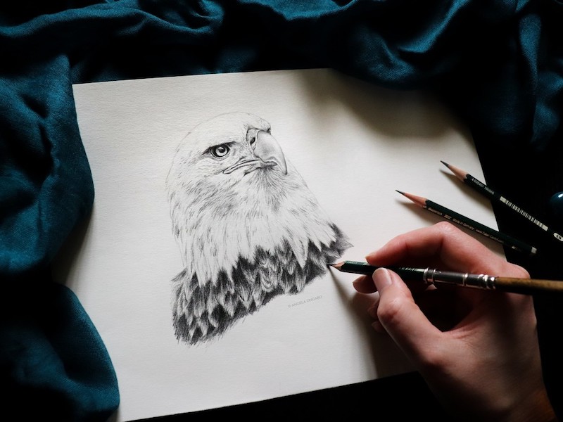 thumbnail Percorso di disegno e acquerello – Febbraio