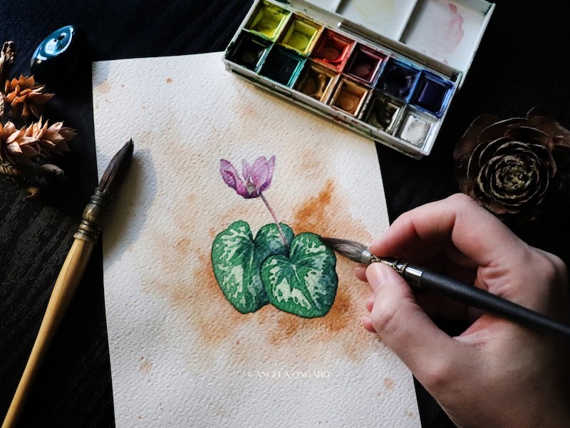 thumbnail Corso “Dipingere piante, fiori e erbe”