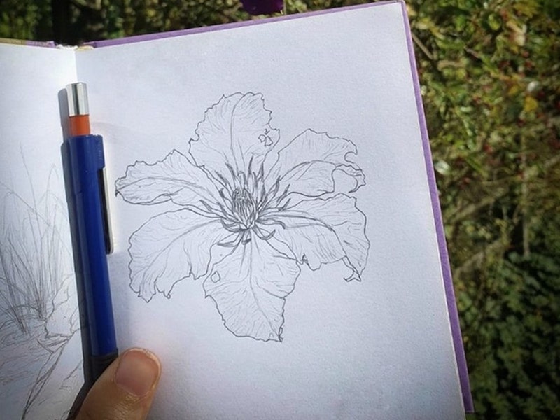 thumbnail Corso di disegno a Villa di Serio