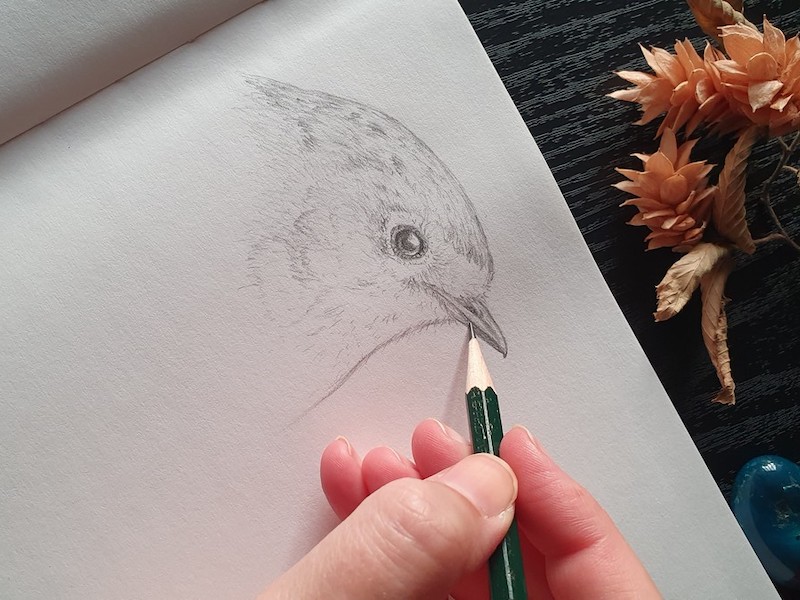 thumbnail Percorso di disegno – Gennaio