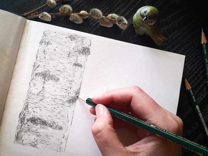thumbnail Corso di disegno online “Piante”