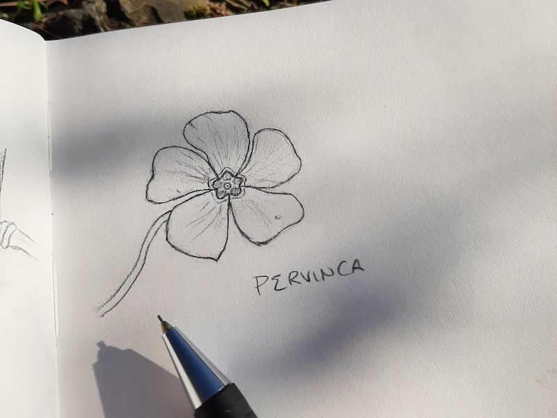 thumbnail Percorso di disegno – Ottobre