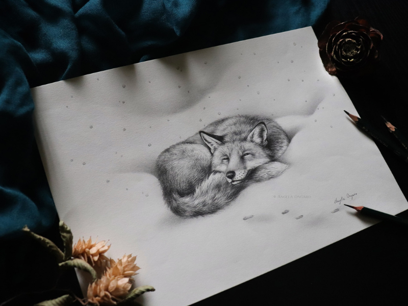 thumbnail Percorso di disegno e acquerello – Ottobre