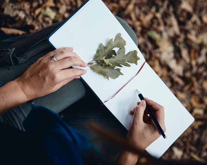 thumbnail Laboratorio “Disegnare nel Bosco”