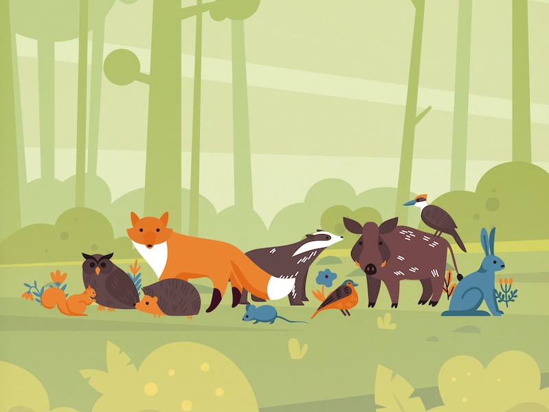 thumbnail Sulle tracce degli animali – 1º appuntamento