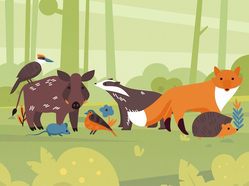 thumbnail Sulle tracce degli animali – 2º appuntamento