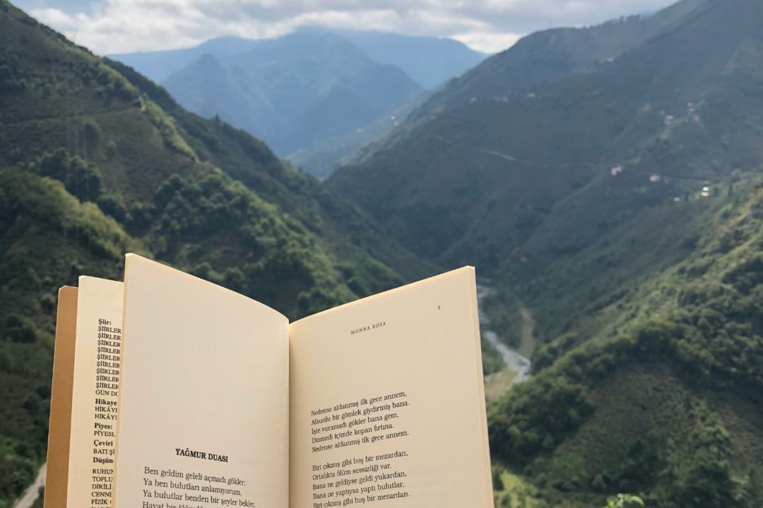 thumbnail Presentazione libro “Nessuno dei miei passi è stato inutile”
