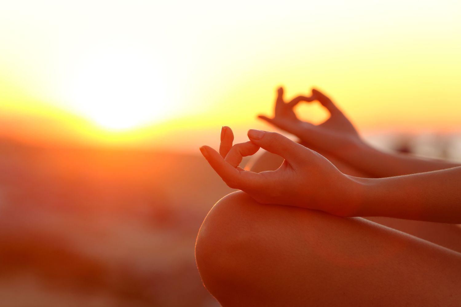 Forest Bathing E Yoga All'alba