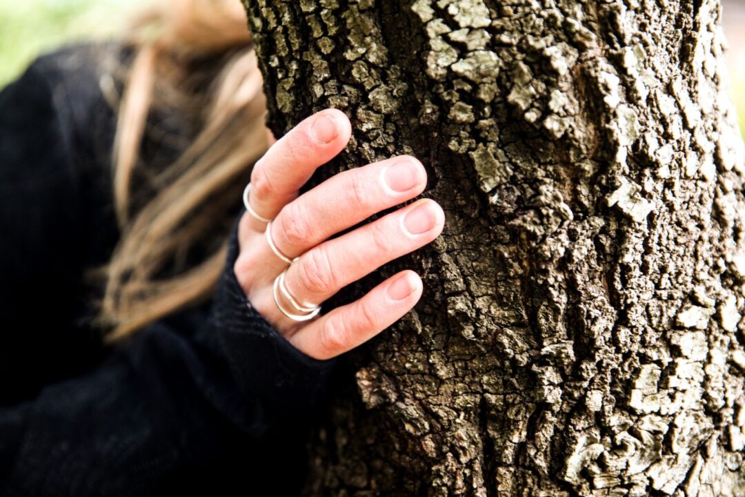 thumbnail A passo lento – Sessione di Forest Bathing