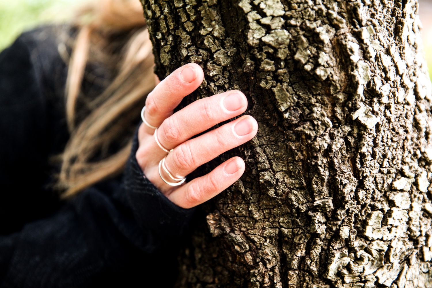 Forest Bathing Fino Del Monte