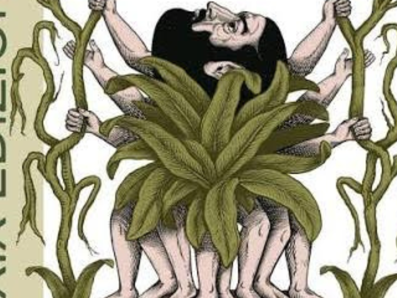 Il Vecchio E Il Mare