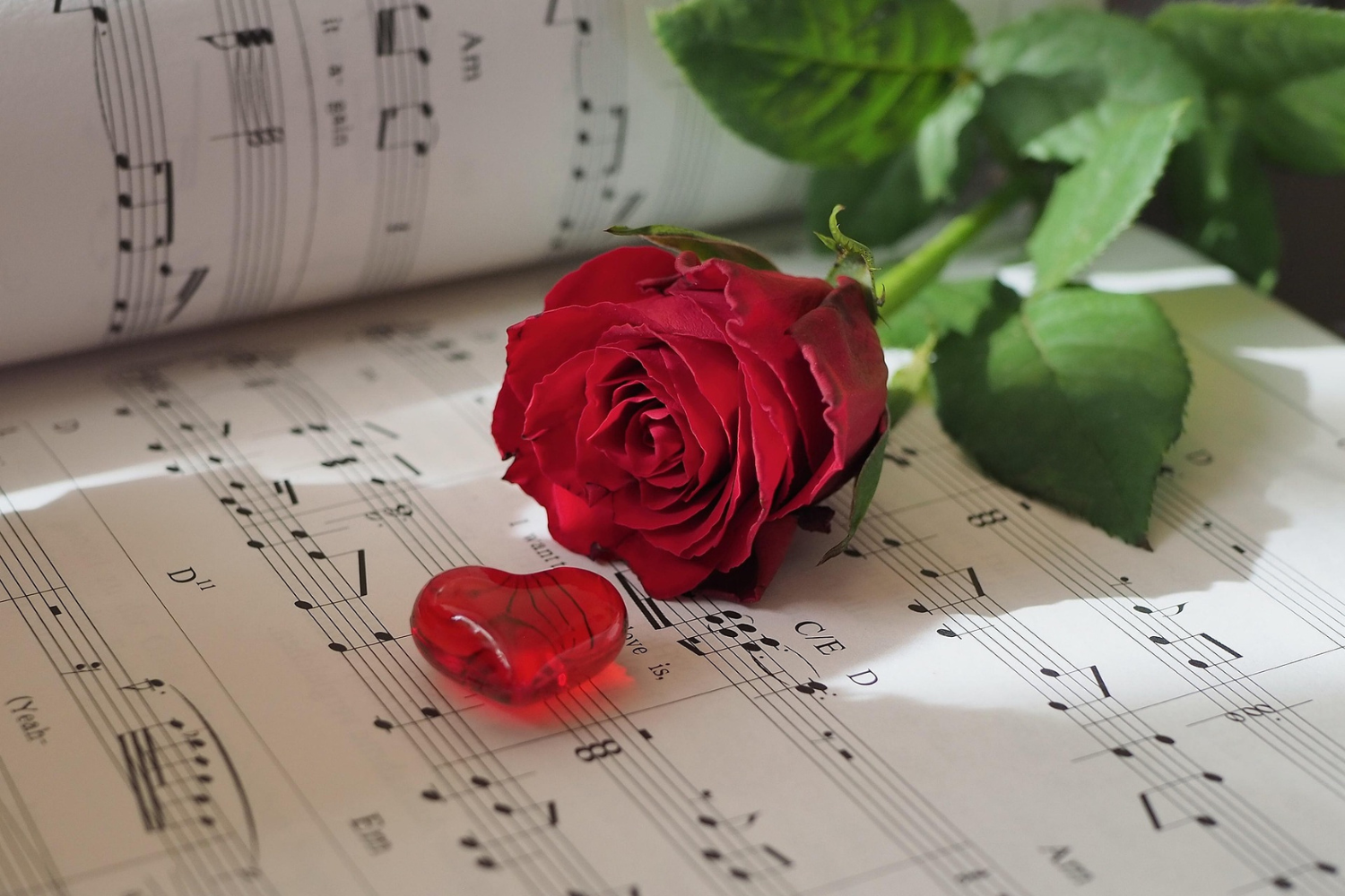 Intrattenimento Musicale