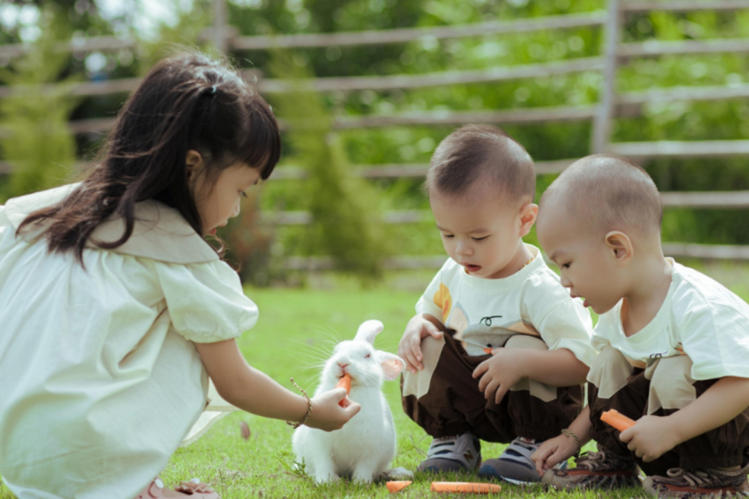 thumbnail Settimana da Lupi
