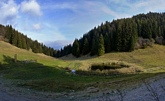 thumbnail La Gestione del Bosco