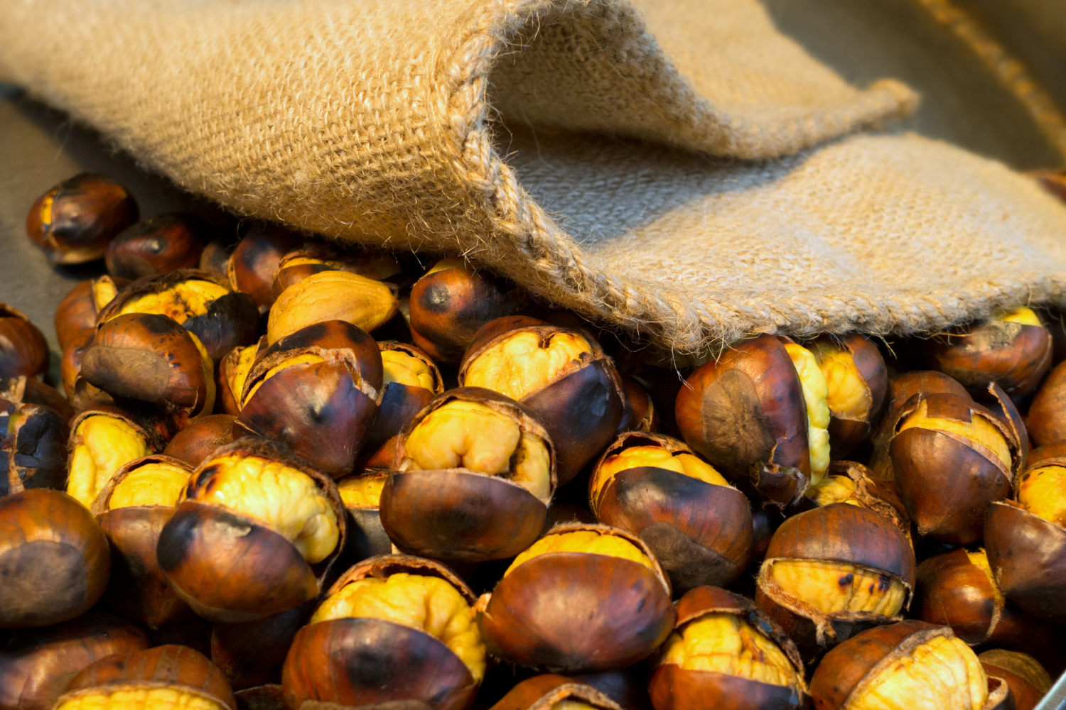 Festa Delle Castagne