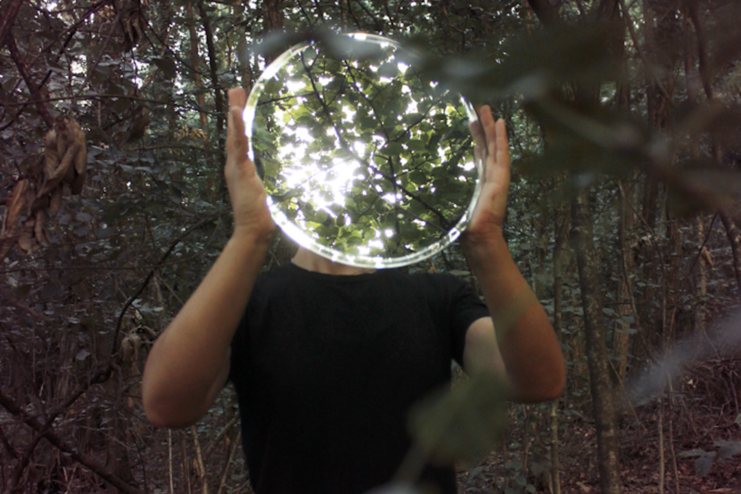 thumbnail Incontri nel Bosco