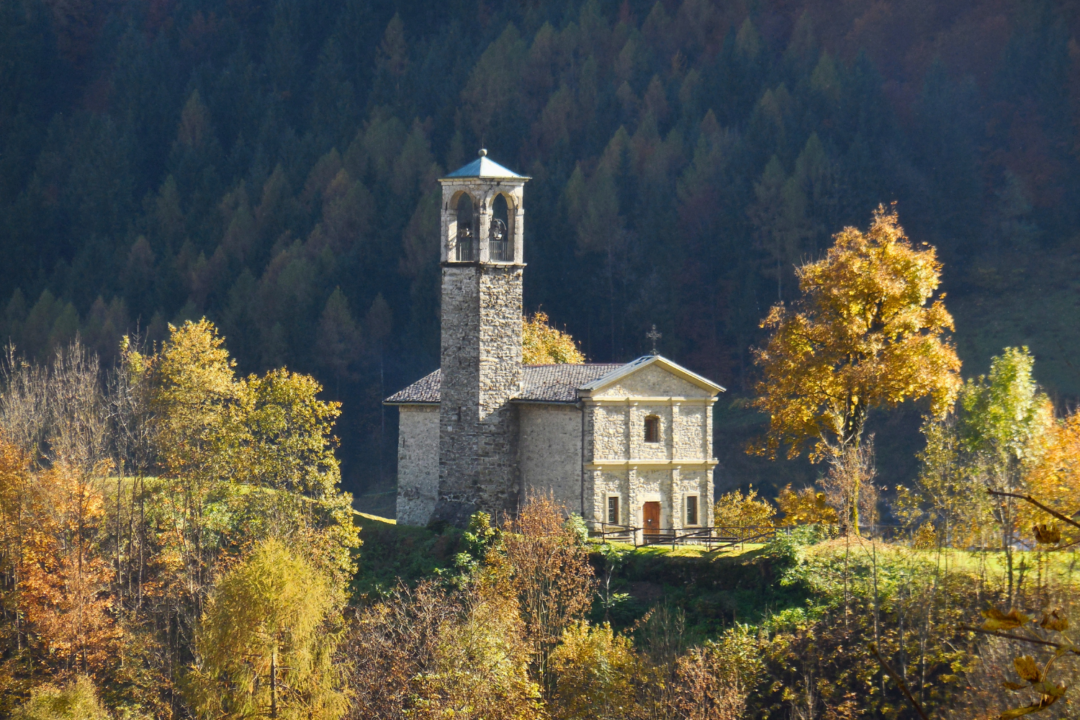 thumbnail Forme e colori dell’autunno – workshop di fotografia naturalistica