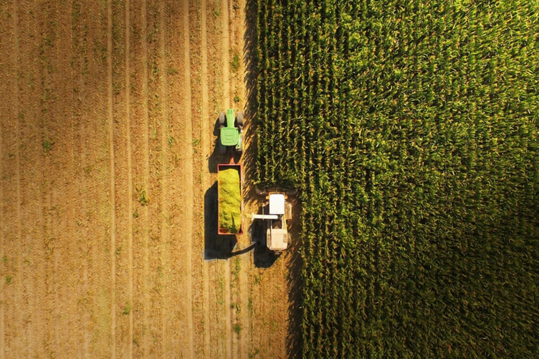 thumbnail Voci di un’altra agricoltura